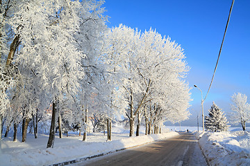 Image showing tree in snow near roads
