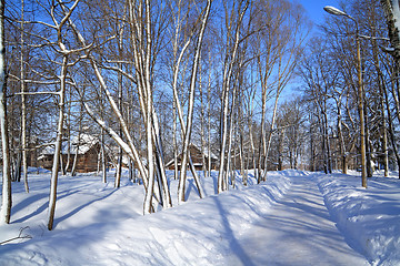 Image showing snow track in winter park