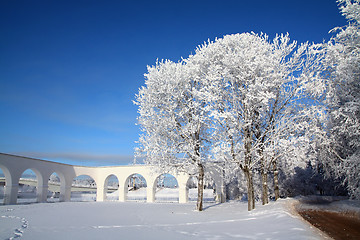 Image showing tree near ancient town wall