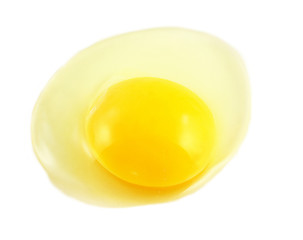 Image showing egg