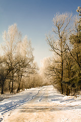 Image showing Rural road (winter)