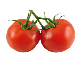 Image showing tomatoes