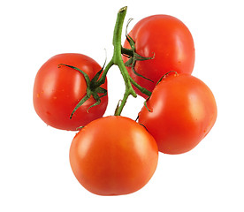 Image showing tomatoes