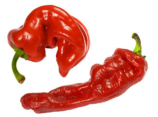 Image showing red pepper cayenne isolated