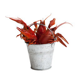 Image showing Tin bucket of boiled crawfish