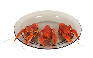 Image showing Boiled crawfish on glass plate