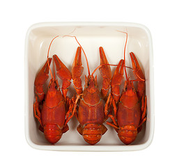 Image showing Three boiled crawfish in ceramic dish