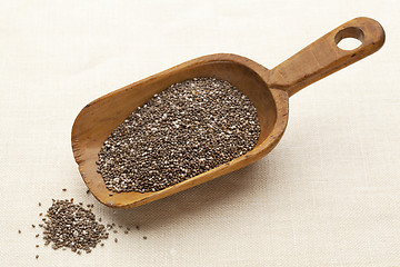 Image showing scoop of chia seeds