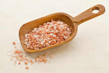 Image showing Himalayan salt scoop