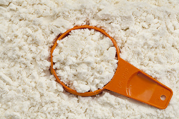 Image showing whey protein powder scoop