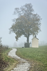 Image showing nebel