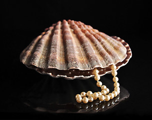 Image showing Pearls inside the shell 