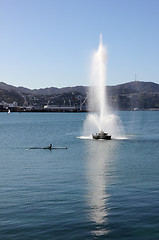 Image showing Oriental Bay