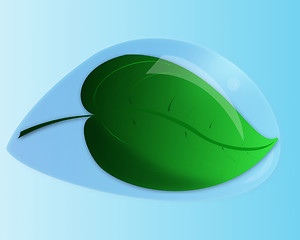Image showing water drop with leaf 