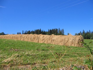 Image showing Hay-drying rack