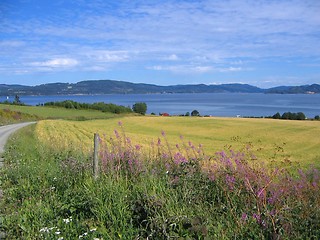 Image showing Norwegian farmland