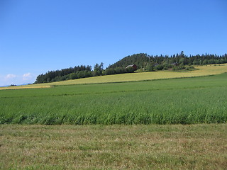 Image showing Norwegian farmland