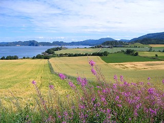 Image showing Norwegian farmland