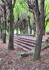 Image showing aging stairway in spring park