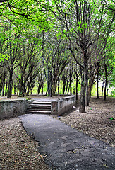 Image showing aging stairway in spring park