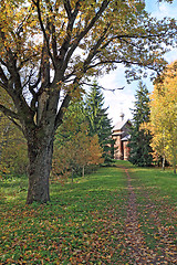 Image showing wooden chapel in autumn wood