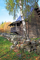 Image showing aging birch near wooden building
