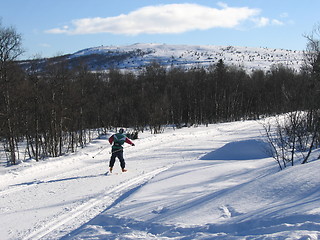 Image showing Skiing