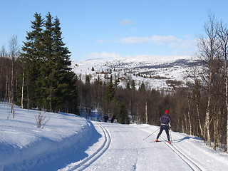 Image showing Skiing