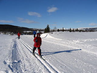 Image showing Skiing