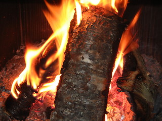 Image showing Firewood