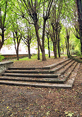 Image showing aging stairway in spring park