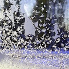 Image showing ice crystal on winter window