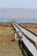 Image showing boardwalk at Baylands2