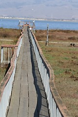 Image showing boardwalk at Baylands4