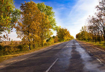 Image showing Autumn road