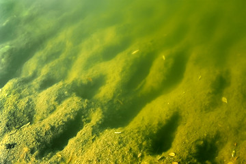 Image showing Pond bottom