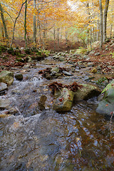 Image showing Autumn Colors