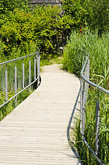 Image showing Wooden walking path