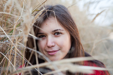 Image showing Cane portrait