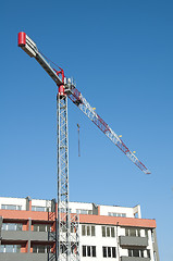 Image showing New colored building and crane