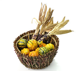 Image showing Decorative Squash And Colorful Corn