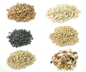 Image showing Raw Beans Collection
