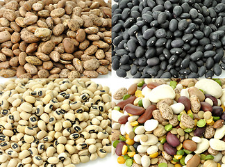 Image showing Raw Beans Collection