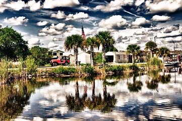 Image showing everglades scene