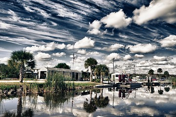 Image showing Everglades mood