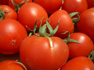 Image showing Tomatoes