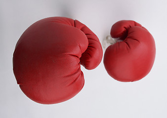 Image showing Boxing glouse