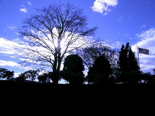 Image showing American Park Sunset