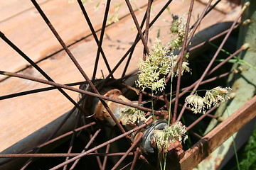 Image showing Wheel with flowers