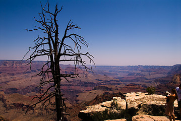 Image showing Grand Canyon